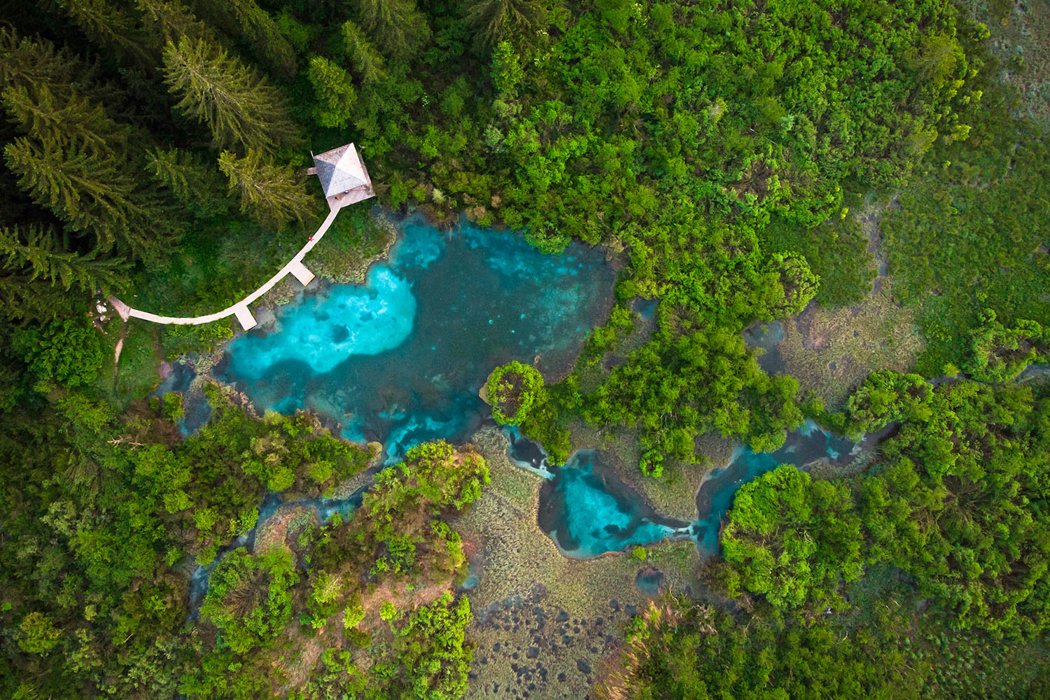 Was können wir von Slowenien lernen Was können wir von Slowenien lernen