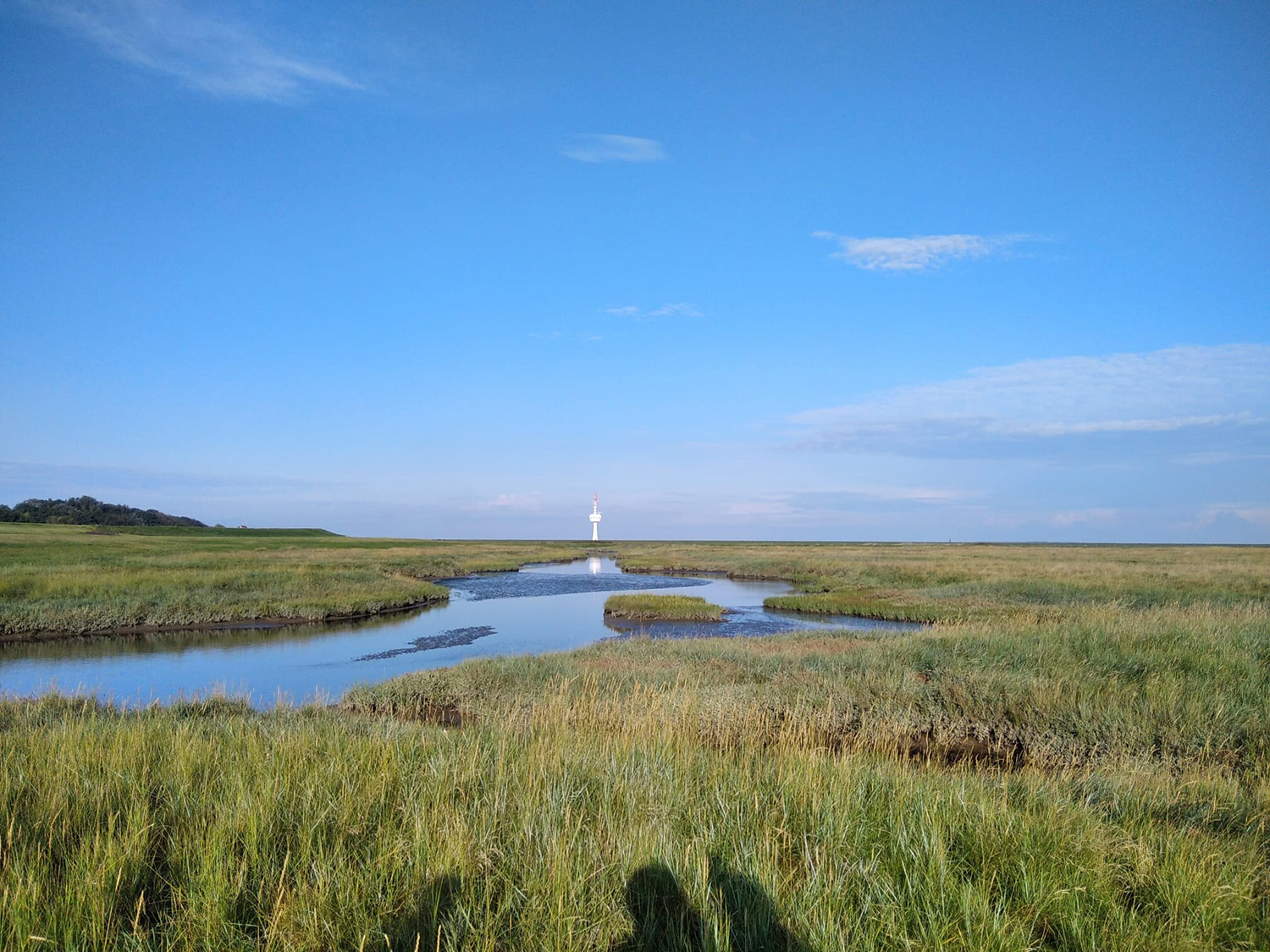 Slowenische Freiwillige brechen zu einer Zug-Odyssee nach Deutschland auf Slowenische Freiwillige brechen zu einer Zug-Odyssee nach Deutschland auf