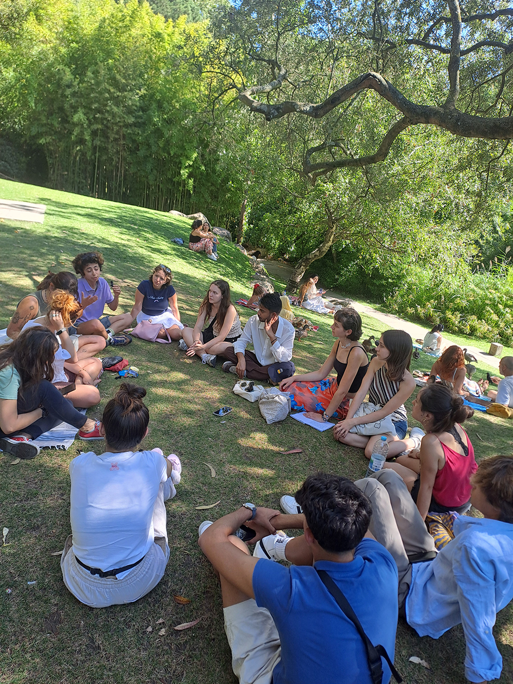 A group of volunteers engages in a relaxed discussion under the trees, developing ideas about collaboration, solidarity, and future initiatives. A group of volunteers engages in a relaxed discussion under the trees, developing ideas about collaboration, solidarity, and future initiatives.