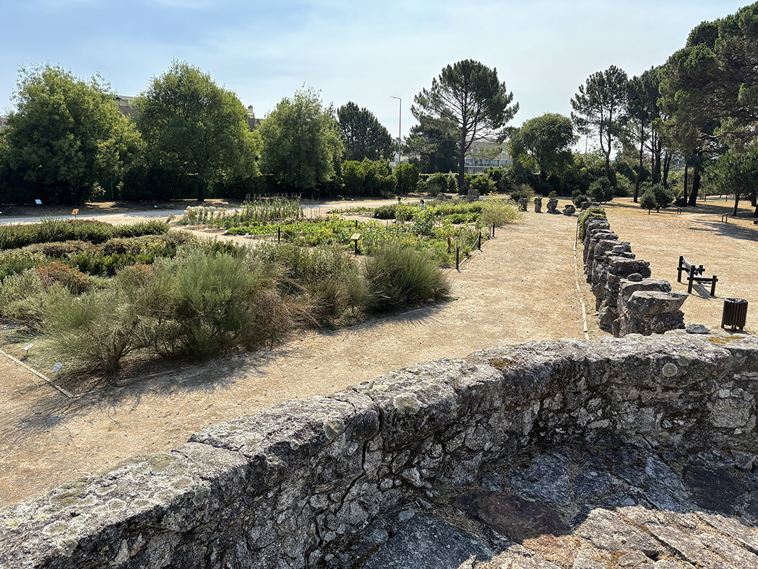 Green urban park and natural landscape in Viana do Castelo reflecting the connection between nature and sustainable tourism